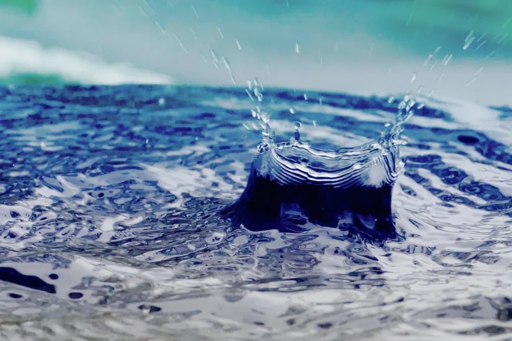  Collecting rainwater to make your home eco-friendly and conserve water