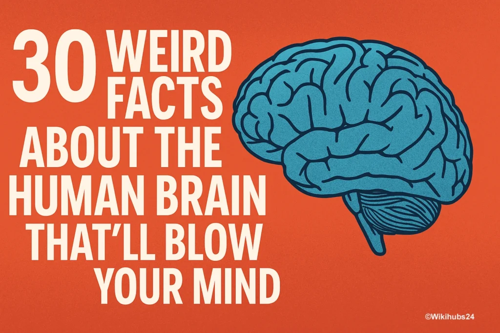 30 Weird Facts About the Human Brain That’ll Blow Your Mind – Featured Image