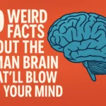 Colorful digital illustration representing 30 weird facts about the human brain.
