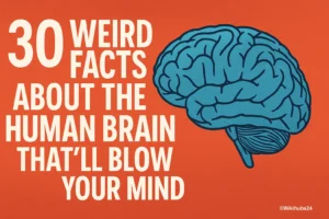 Colorful digital illustration representing 30 weird facts about the human brain.