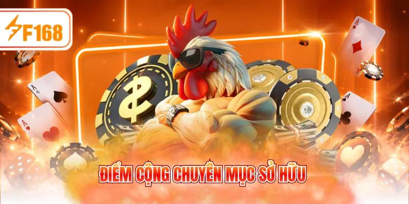Điểm cộng chuyên mục sở hữu