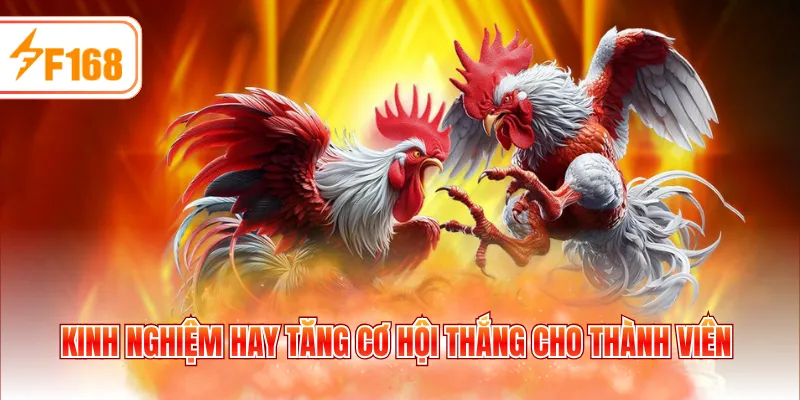 Kinh nghiệm hay tăng cơ hội thắng cho thành viên